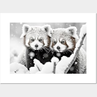 Red Panda Animal Discovery Wild Nature Ink Sketch Style Posters and Art